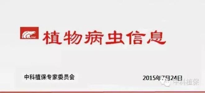 認(rèn)真抓好中稻、一季稻病蟲害防治工作
