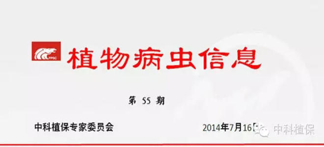 抓好當前一季稻、晚稻“兩遷”害蟲等主要病蟲害防治