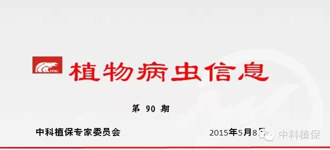 【病蟲情報】打好早稻一代二化螟等病蟲害防控的保苗戰役