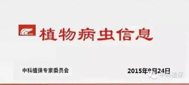 【病蟲信息】晚稻主要病蟲害發(fā)生動態(tài)