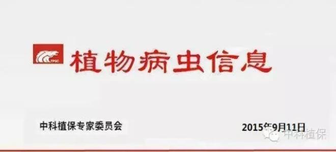 抓好晚稻穗期病蟲防治工作，實現(xiàn)蟲口奪糧確保豐收