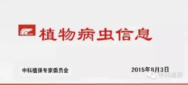 切實抓好晚稻保苗和一季稻保穗病蟲害防治工作