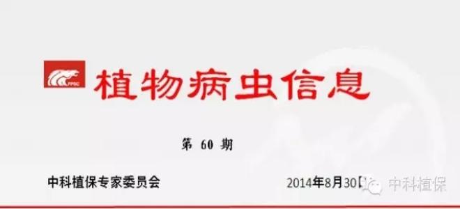 認真抓好寒露風預防，打好晚稻病蟲害防治攻堅戰