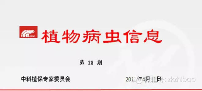 南方稻區應及時抓好水稻播栽期病蟲害防治