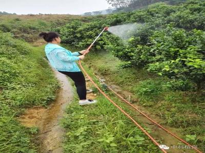 華南銷售公司營銷實踐活動如火如荼進(jìn)行中，給市場注入新活力！