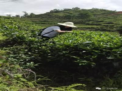 華東銷售公司營銷實踐活動如火如荼進(jìn)行中，不畏烈日，不懼風(fēng)雨