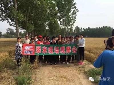 華北銷售公司營銷實踐活動如火如荼進(jìn)行中，爭分奪秒完成公司下發(fā)的任務(wù)！