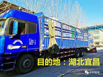 專車直送 湖北宜昌 搶農(nóng)時 保春耕 ——濟南中科支援疫區(qū)春耕保供