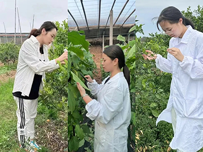 “穩(wěn)中求進(jìn)、砥礪前行”——四月中科最美身影