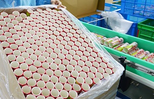 市面上紙罐包裝價格波動大嗎？