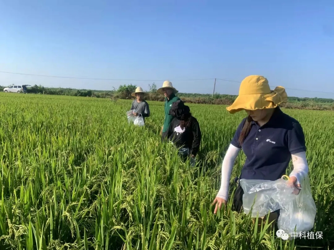 向中秋節堅守市場一線的中科員工致敬