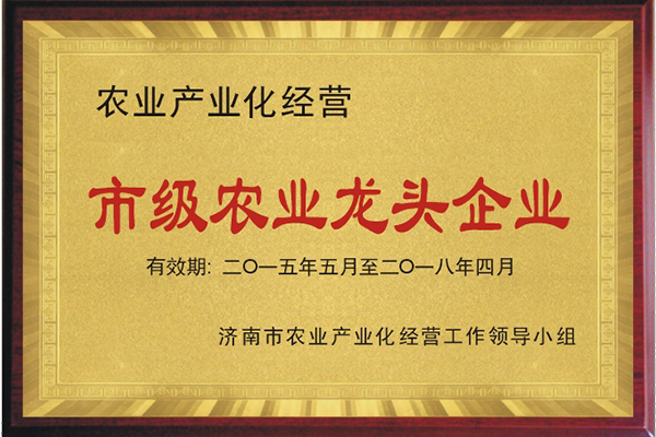 市級(jí)農(nóng)業(yè)龍頭企業(yè)